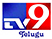 TV9 telugu